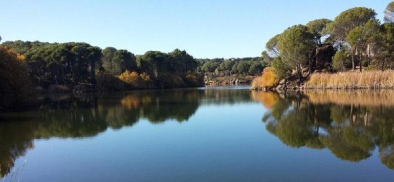Aljaral, Espectacular,piscina,chimenea, Climatizacion, Wifi *