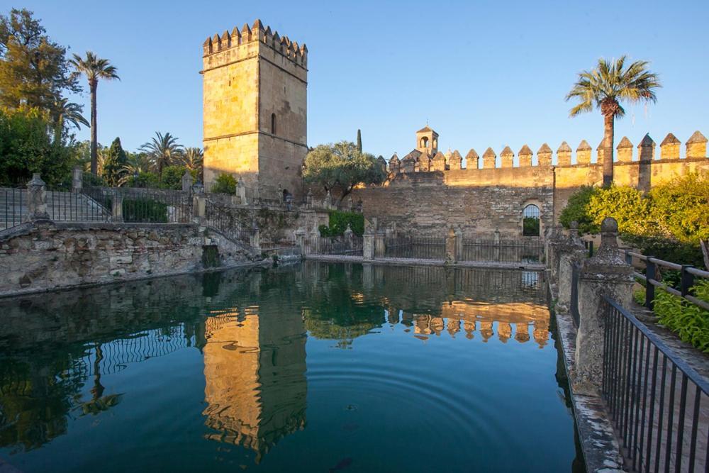 Ferienhaus Aljaral, Espectacular,piscina,chimenea, Climatizacion, Wifi Córdoba